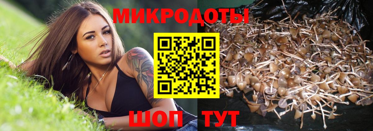 Псилоцибиновые грибы MAGIC MUSHROOMS Алушта